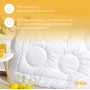 Ковдра зимова 200*220 Air Dream Exclusive подвійна
