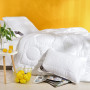 Ковдра зимова 200*220 Air Dream Exclusive подвійна