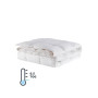 Ковдра Penelope - Dove 6,5 tog пухова 155*215 полуторна